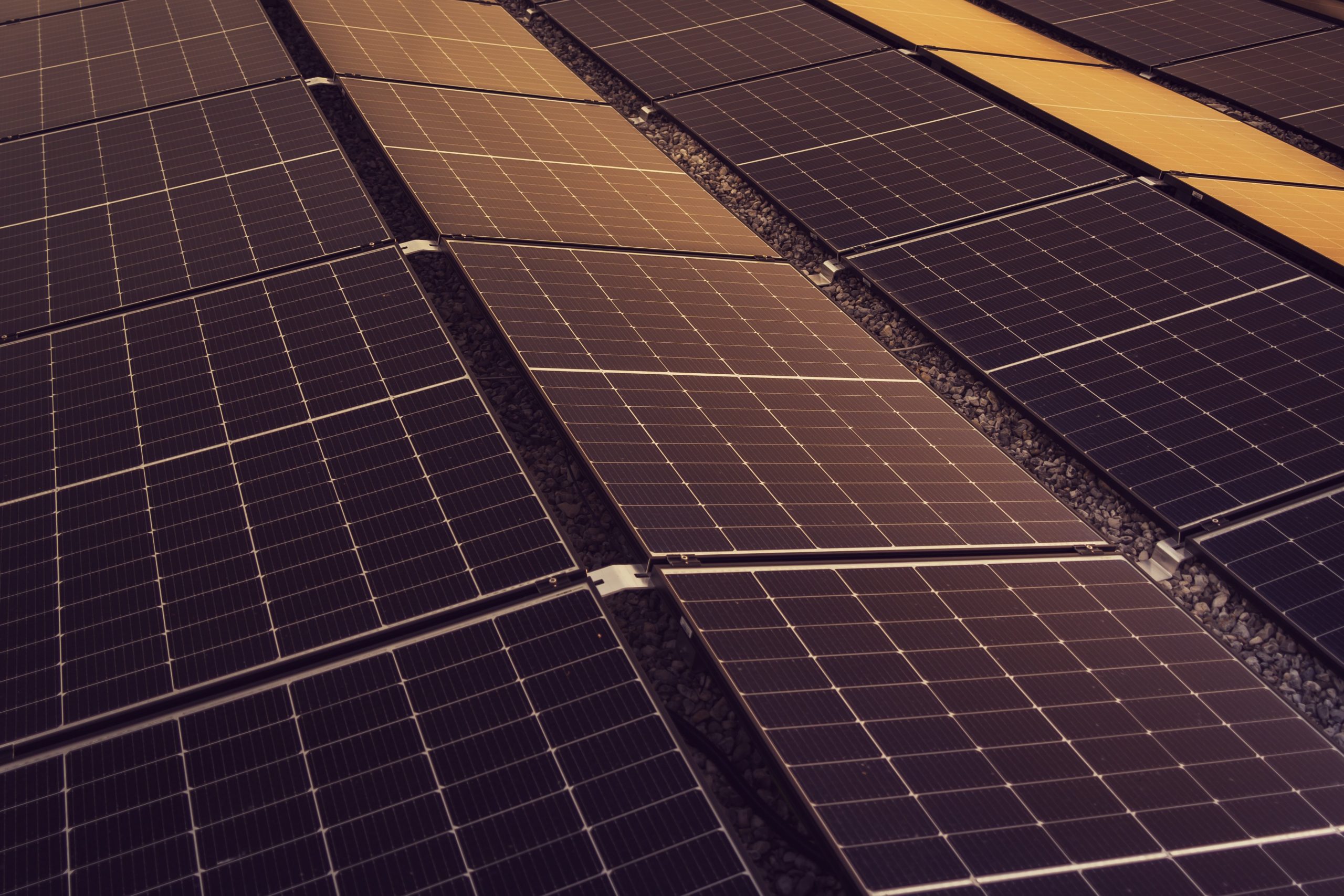 michael pointner solar 8244680